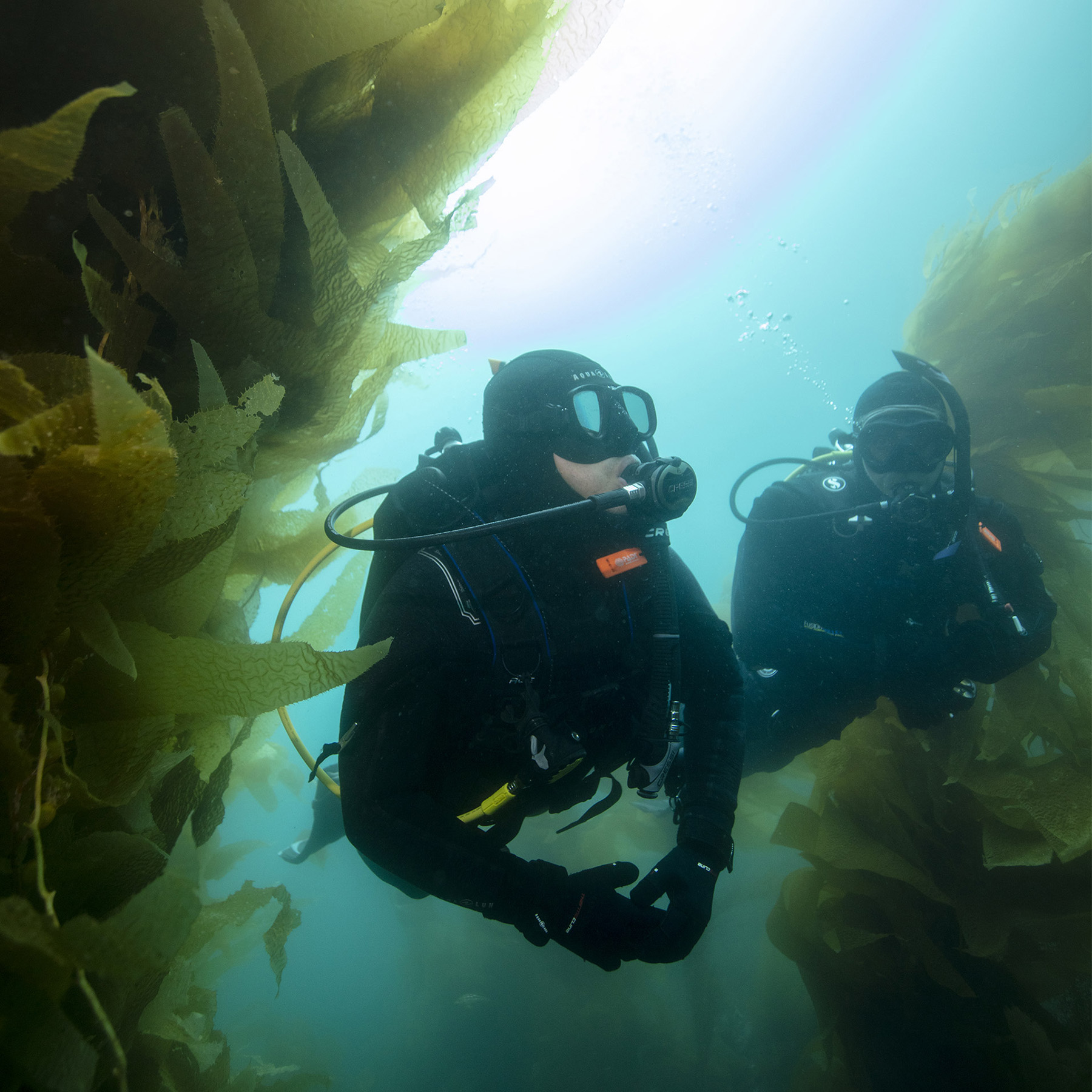 Open Water Diver Course