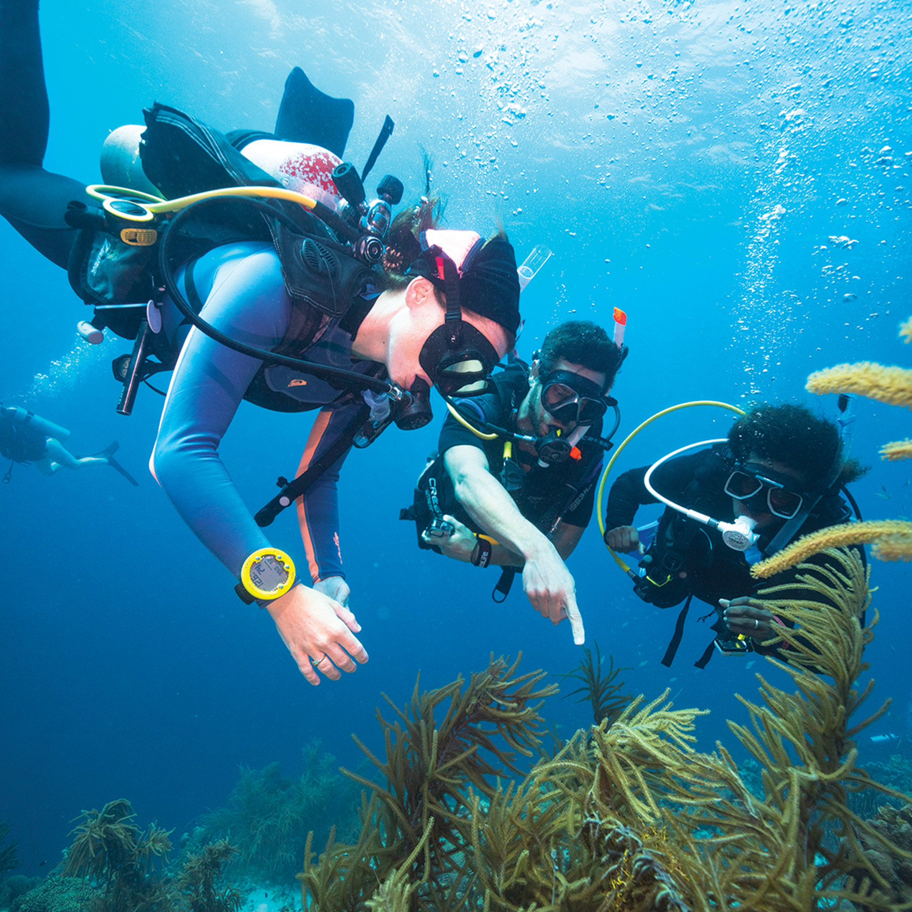 Advanced Open Water Diver Course