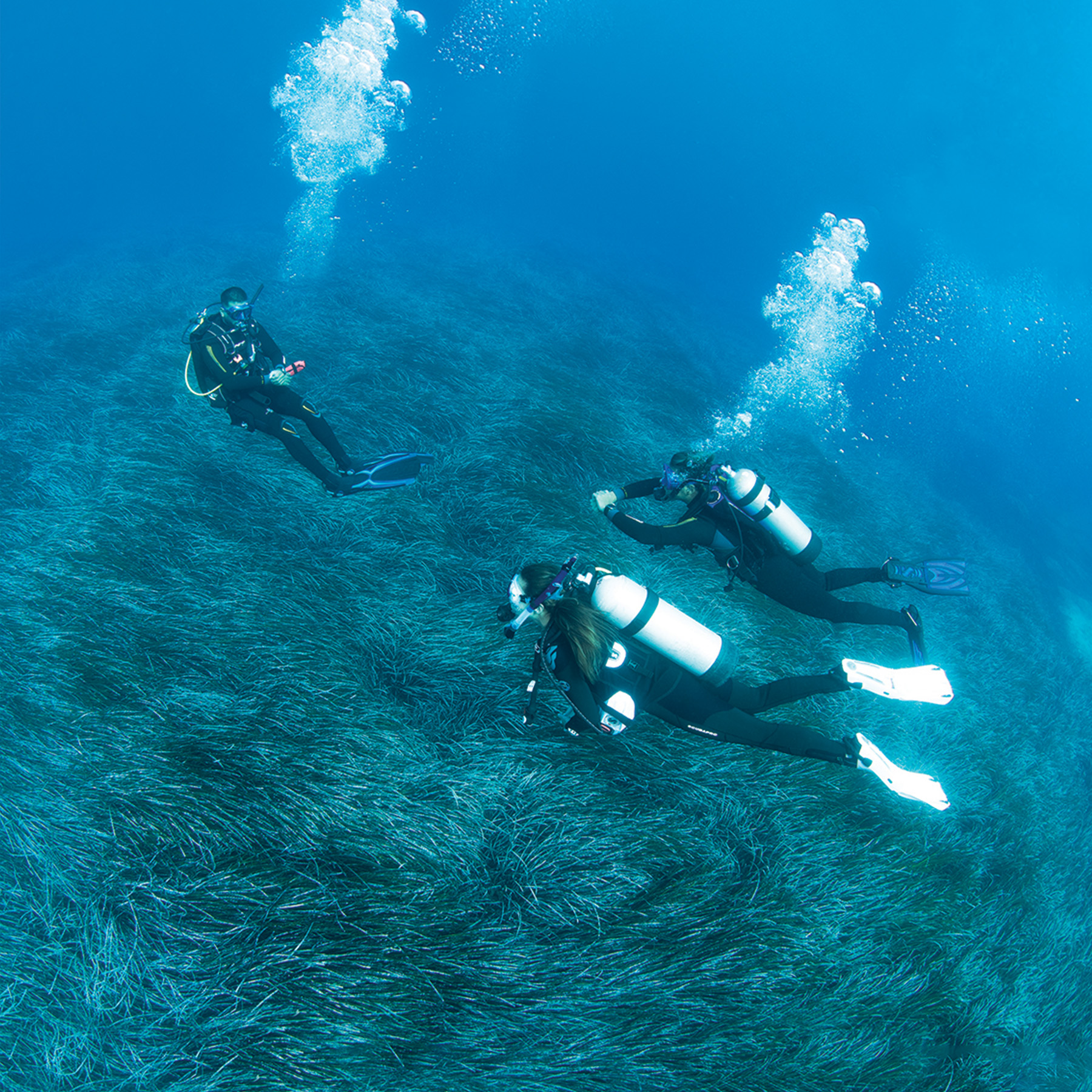 Divemaster Course