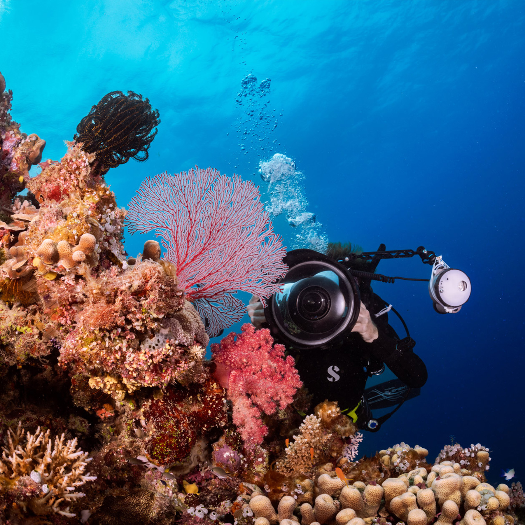 PADI Digital Underwater Photographer