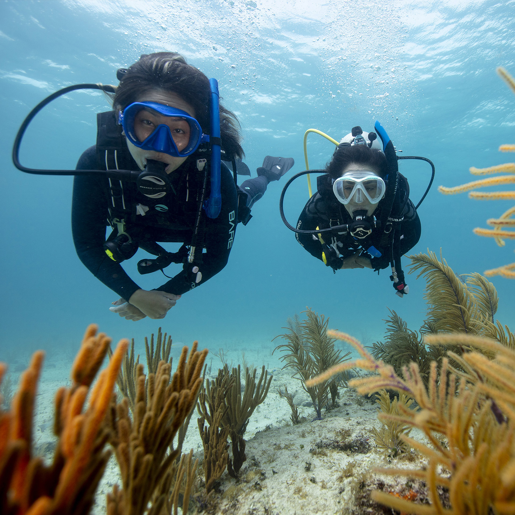 Discover Scuba Dive