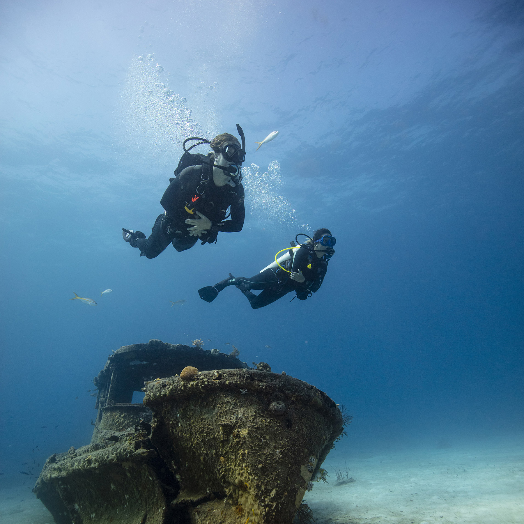 Master Scuba Diver