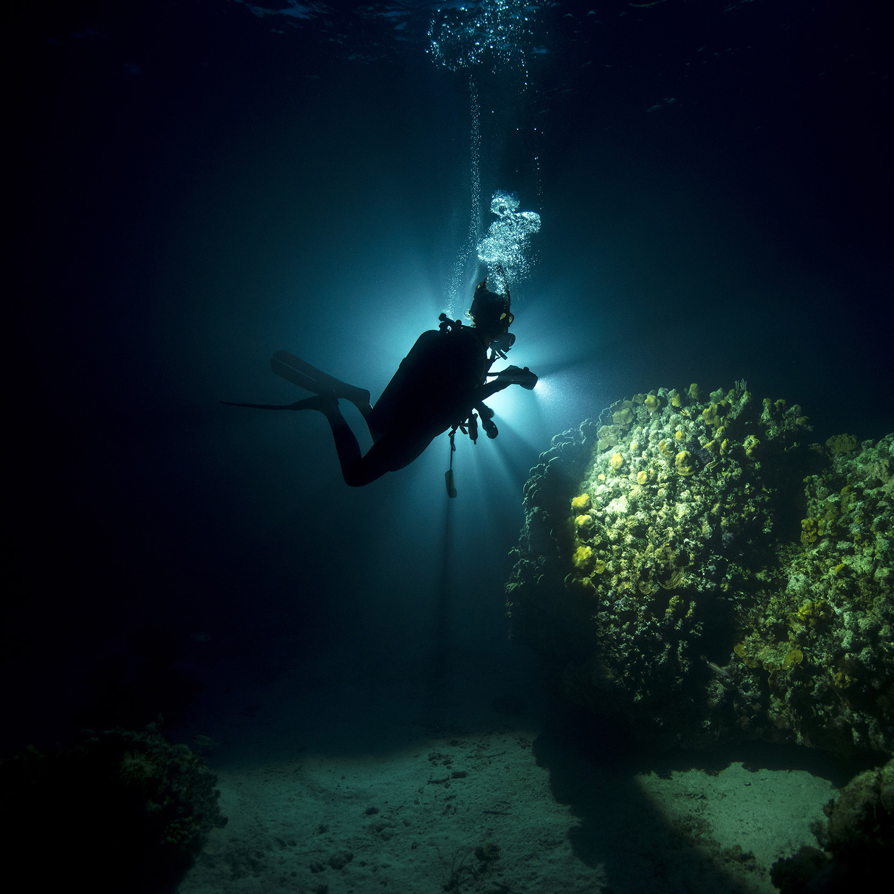 Night Diver Course