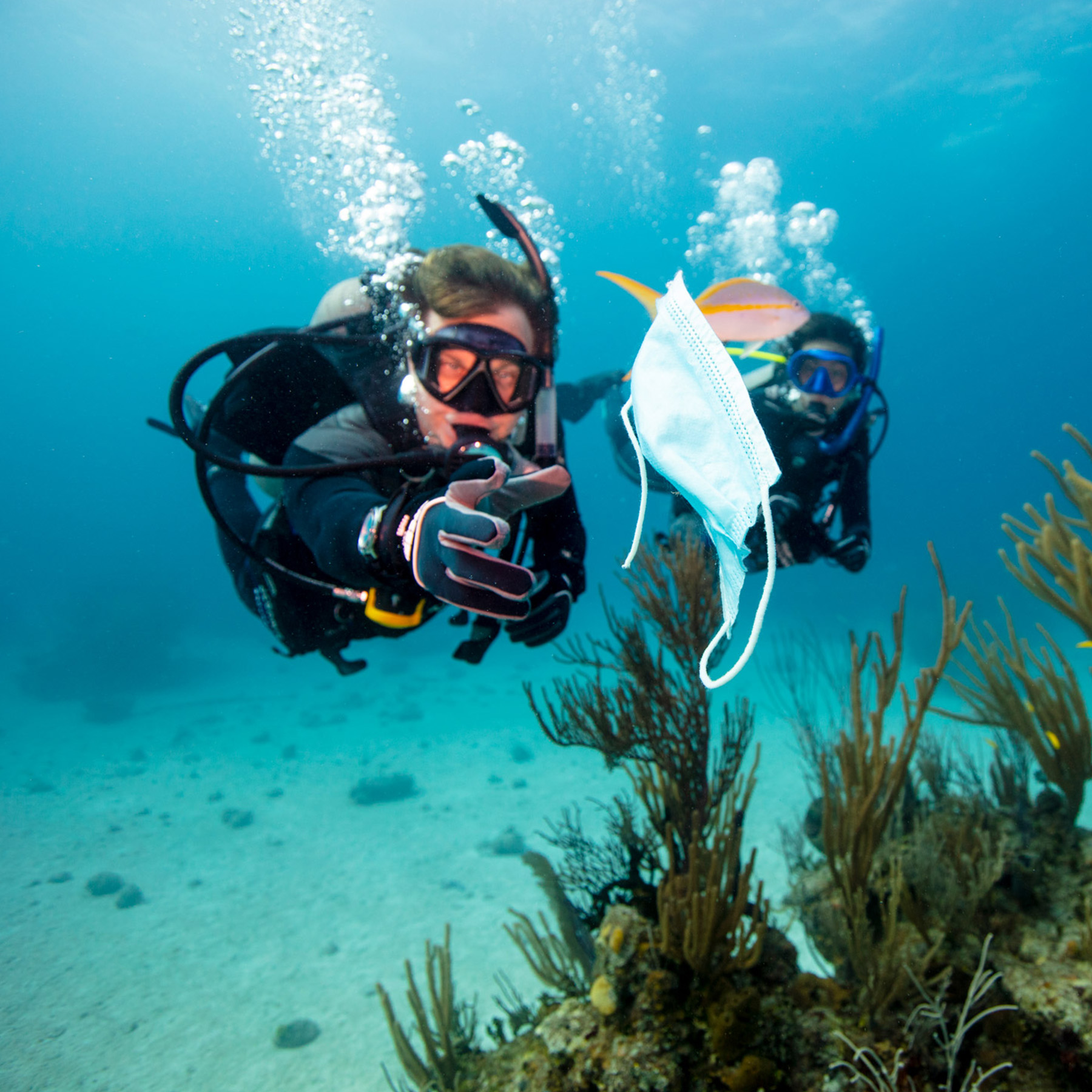 PADI Dive Against Debris Specialty Course
